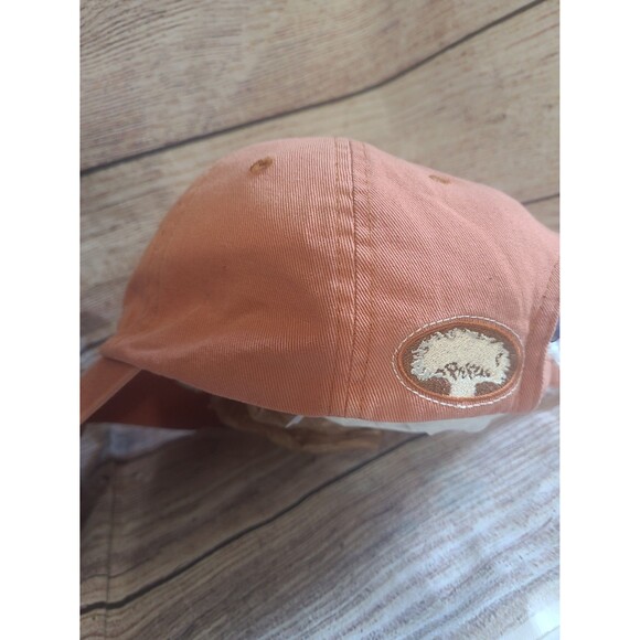 Vtg Disney Adventure Parks Animal Kingdom Dad Hat - Picture 8 of 10